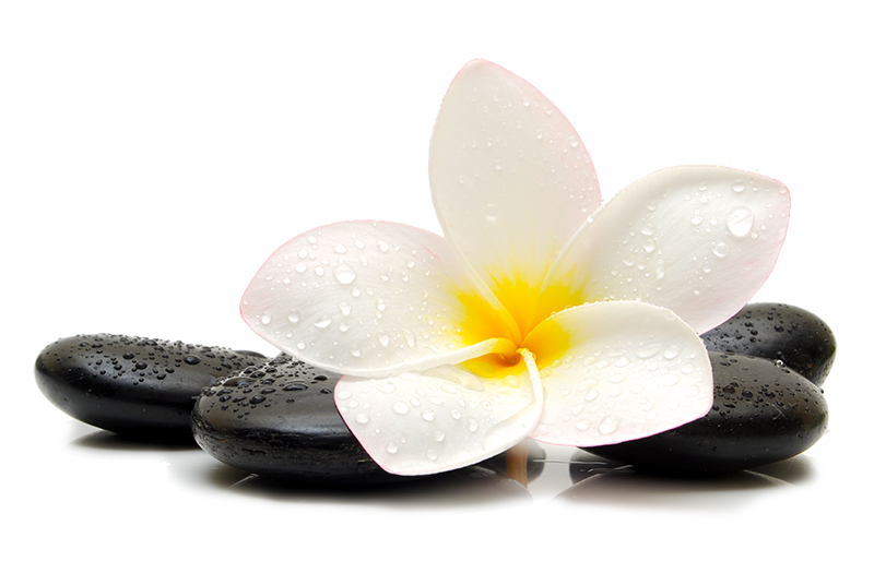 Illustration zen